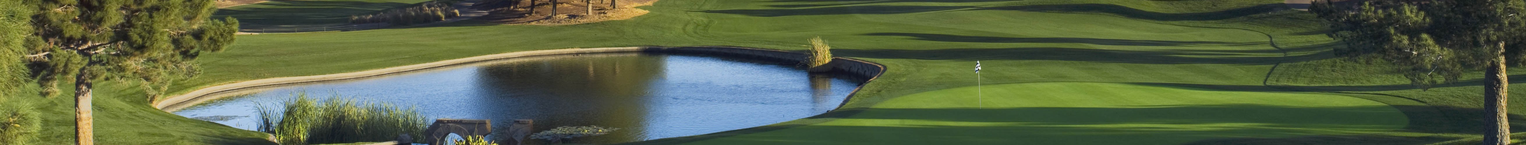 Golf Handicaps, Tournaments & Leagues in AZ Premier Golf Club